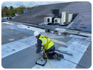 Commercial Roof Cleaning 