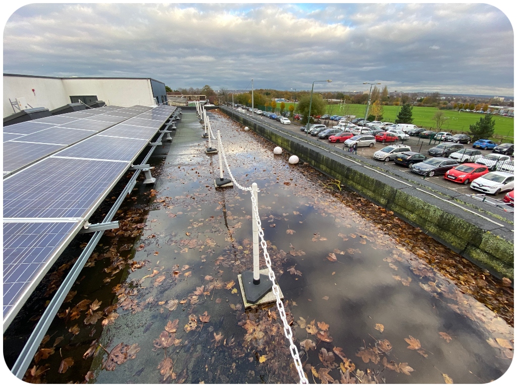 Commercial Gutter Cleaning Services 