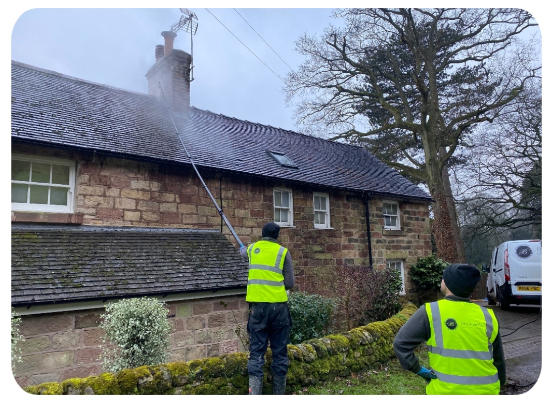 Commercial Roof Cleaning 