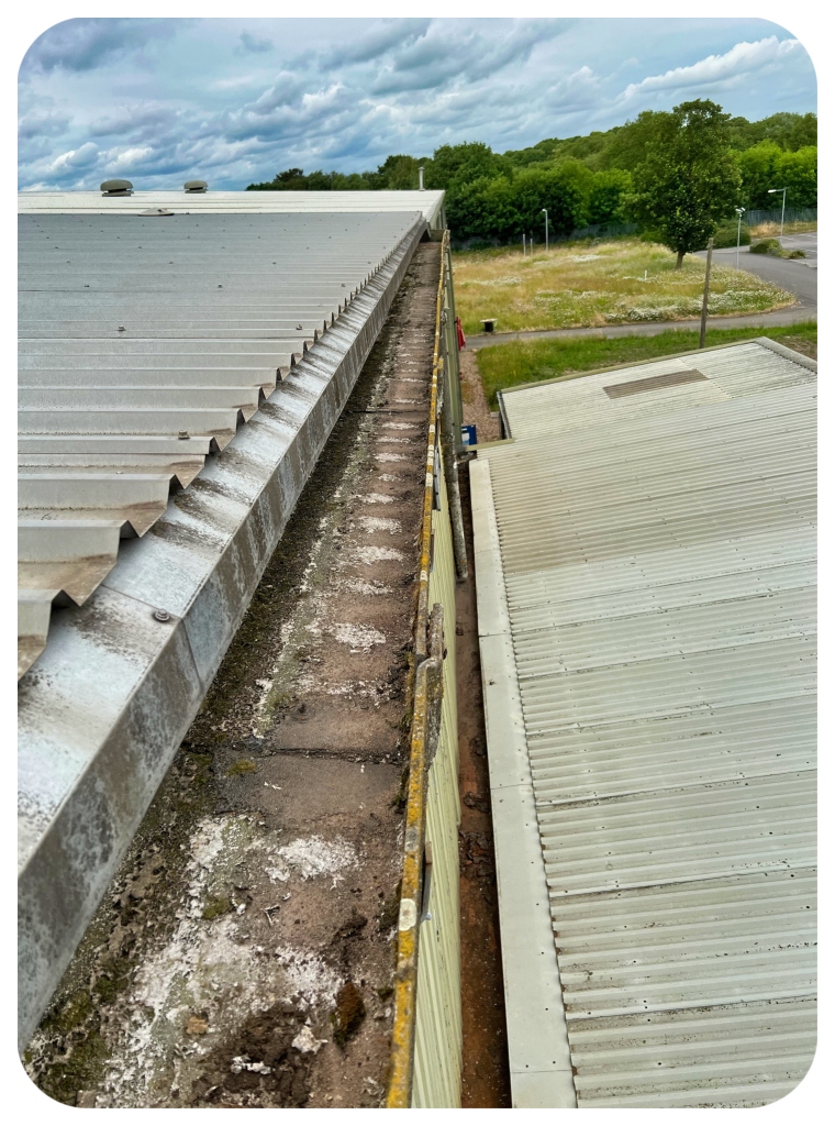 Industrial Gutter Cleaning 