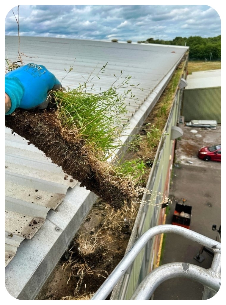 Industrial Gutter Cleaning
